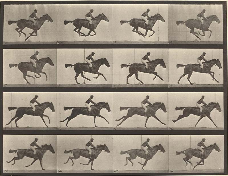 エドワード・マイブリッジの「the horse in motion」